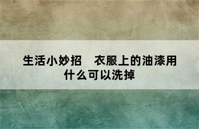 生活小妙招    衣服上的油漆用什么可以洗掉